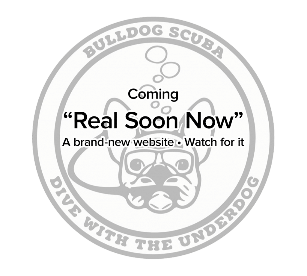 Coming “Real Soon Now”